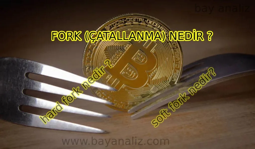 FORK  ( ÇATALLANMA )  NEDİR ?
