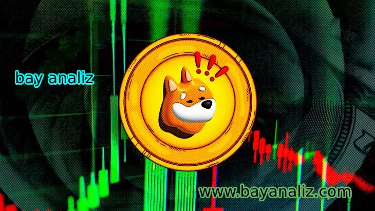 BONK Coin nedir, fiyatı kaç x yapar ?