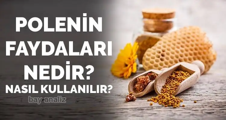 Polenin Faydaları Nelerdir ve Nasıl Tüketilir? Doğanın Enerji Deposu Arı Ürünü