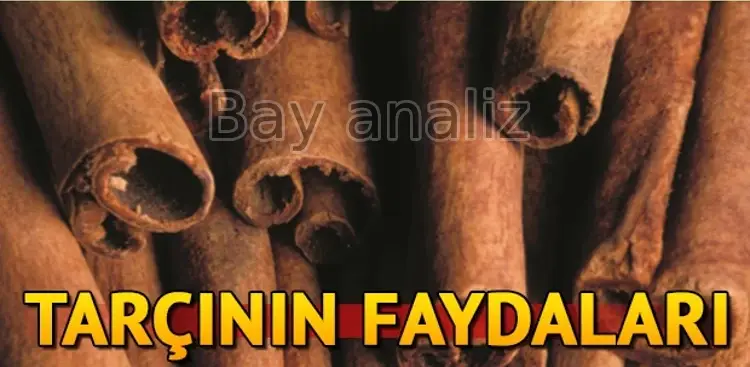 Tarçının Faydaları Nelerdir? Kokusuyla Büyüleyen Şifa Deposunun Sağlığa Etkileri