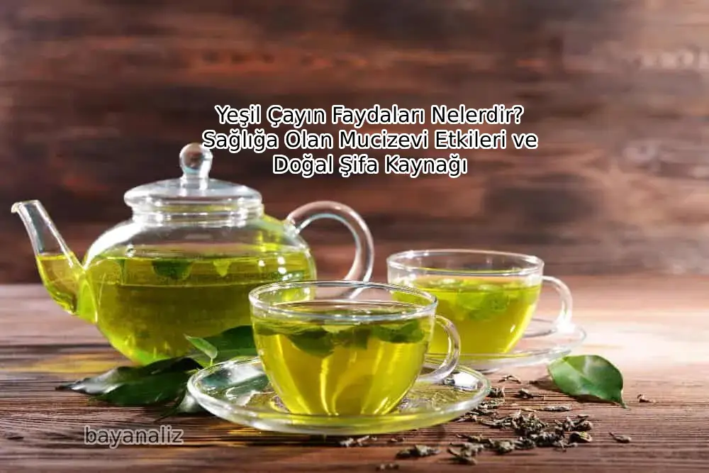 Yeşil Çayın Faydaları Nelerdir? Sağlığa Olan Mucizevi Etkileri ve Doğal Şifa Kaynağı