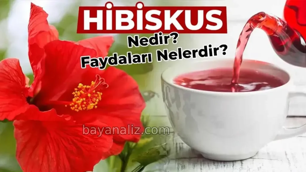 Hibiskus Nedir, Neye İyi Gelir? Nar Çiçeğinin Mucizevi Faydaları