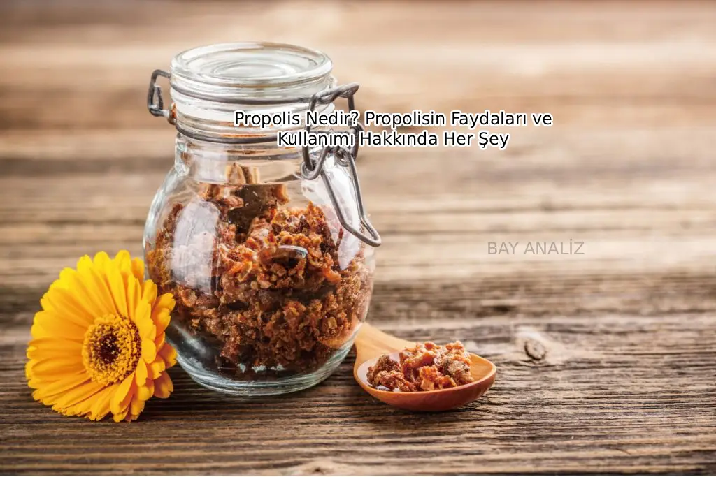 Propolis Nedir? Propolisin Faydaları Hakkında Her Şey